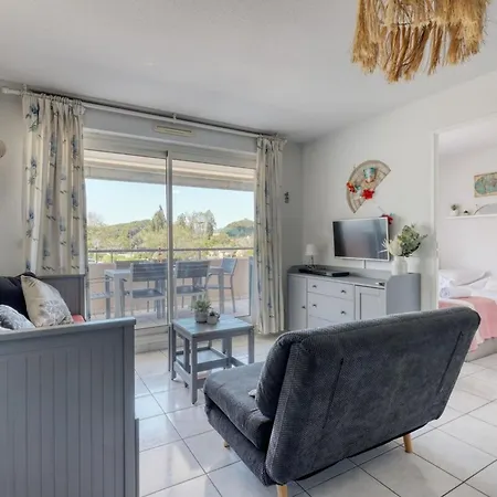 T2 In Lavandou - With Swimming Pool *